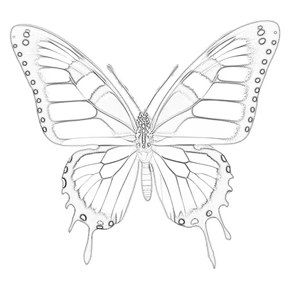 Flora – Vorschau