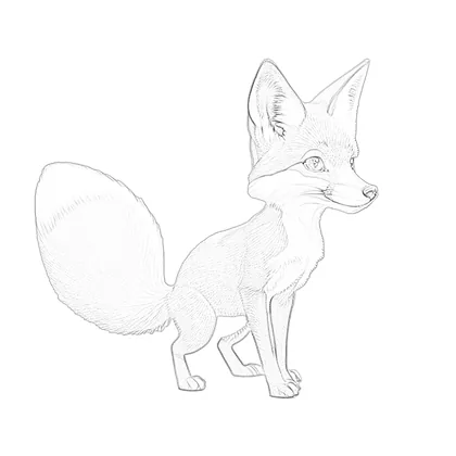 Finnick – Vorschau